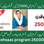 8171 ehsaas program 25000 bisp