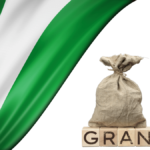 Government Grants in Nigeria