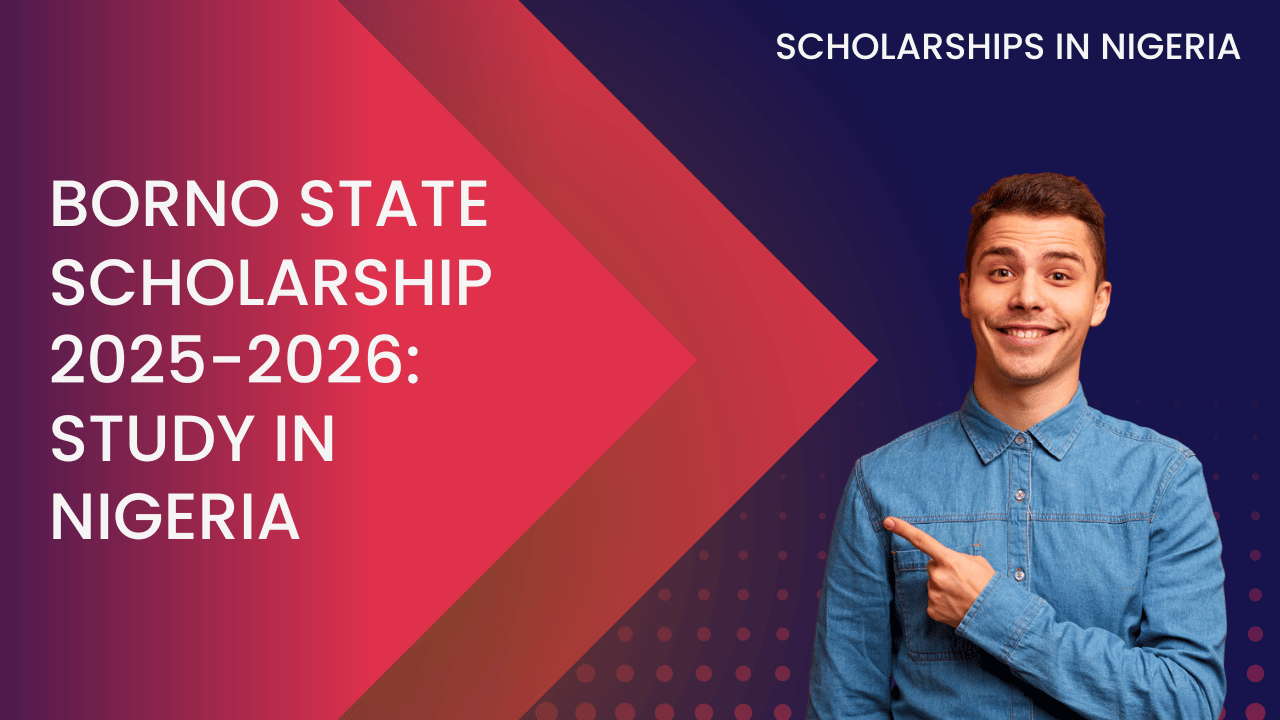 Borno State Scholarship 2025-2026: Study in Nigeria